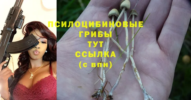 Галлюциногенные грибы MAGIC MUSHROOMS  Белокуриха 